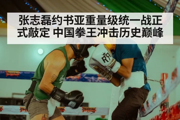 张志磊约书亚重量级统一战正式敲定 中国拳王冲击历史巅峰